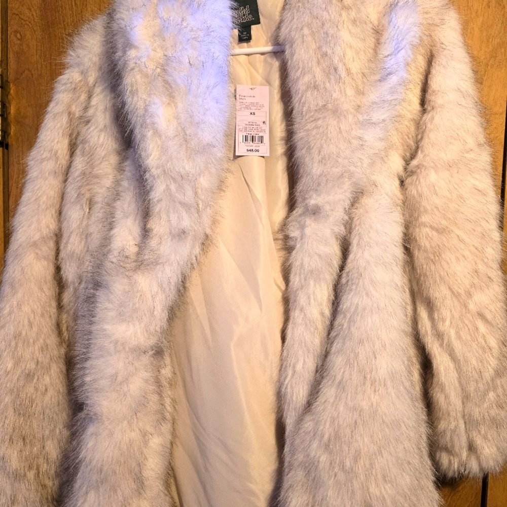 Wild Fable Elegant Faux Fur Coat